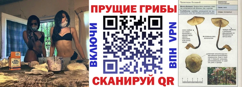 Псилоцибиновые грибы MAGIC MUSHROOMS  Тейково 