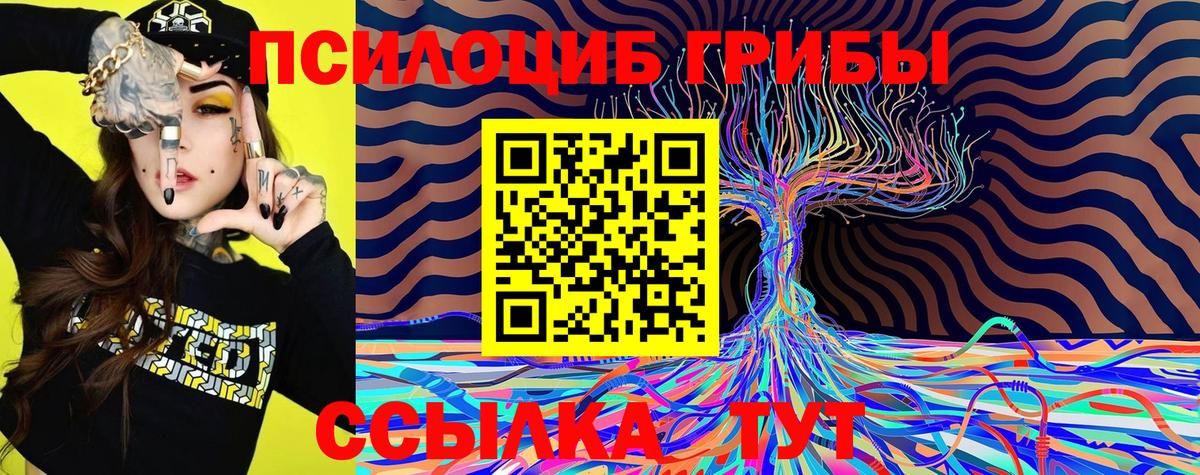 Псилоцибиновые грибы Magic Shrooms Тейково
