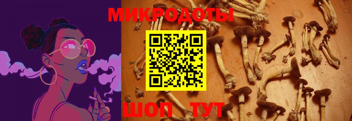 Галлюциногенные грибы MAGIC MUSHROOMS  Вход с VPN  Галлюциногенные грибы Cubensis  Тейково 